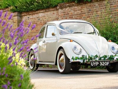 established-wedding-transport-business-vehicles-brand-bookings-0