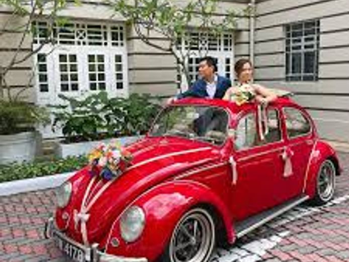 profitable-vintage-wedding-transport-business-with-future-bookings-2