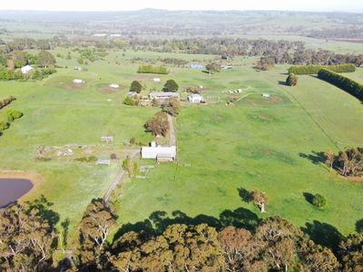 brave-hen-pastured-eggs-free-range-egg-business-47-acres-land-walk-in-walk-out-0