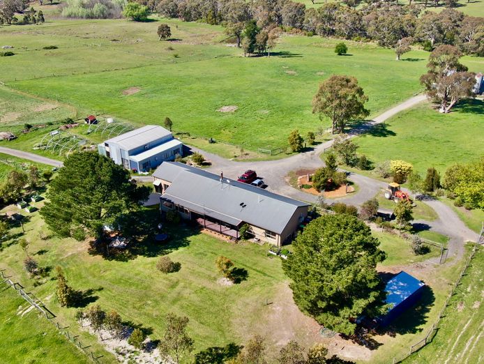 brave-hen-pastured-eggs-free-range-egg-business-47-acres-land-walk-in-walk-out-1