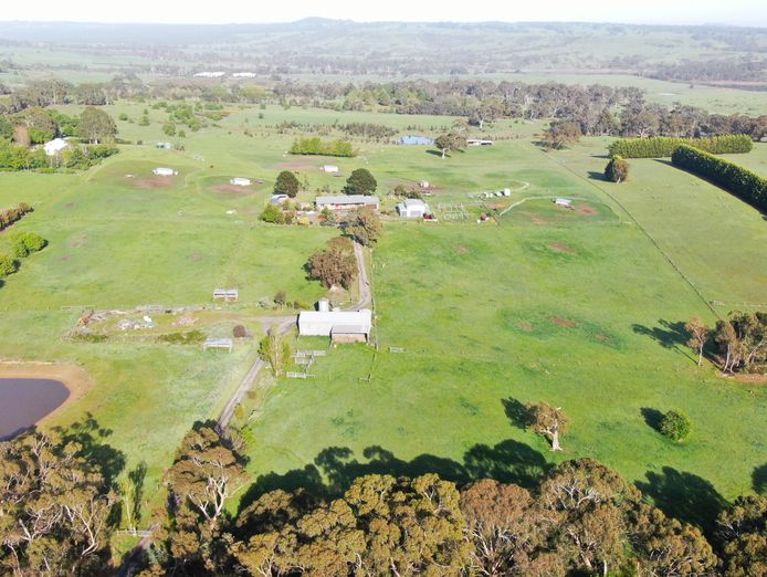 brave-hen-pastured-eggs-free-range-egg-business-47-acres-land-walk-in-walk-out-0