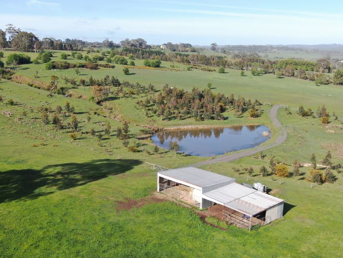 brave-hen-pastured-eggs-free-range-egg-business-47-acres-land-walk-in-walk-out-7