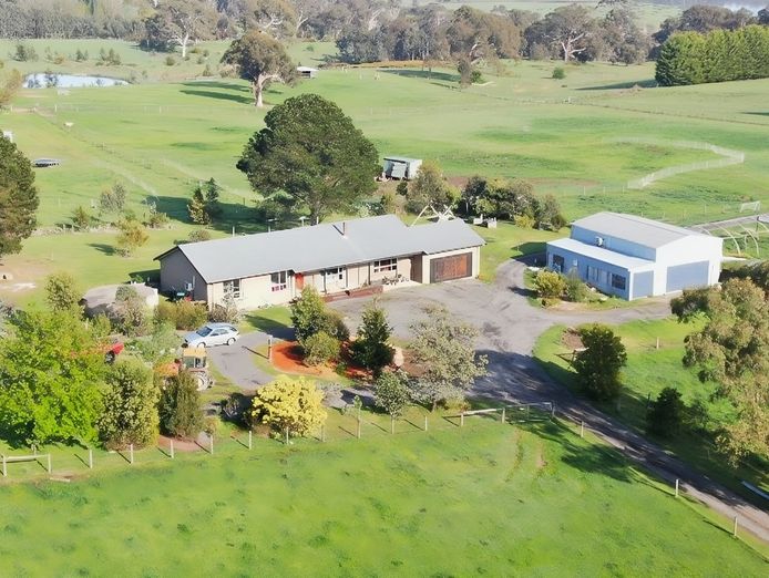 brave-hen-pastured-eggs-free-range-egg-business-47-acres-land-walk-in-walk-out-2