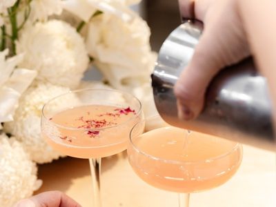 well-established-mobile-bar-business-with-forward-bookings-adelaide-9