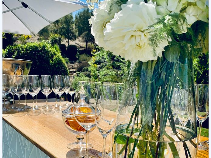 well-established-mobile-bar-business-with-forward-bookings-adelaide-6