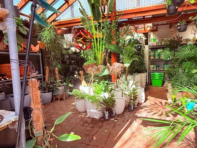 boutique-garden-gift-store-for-sale-6