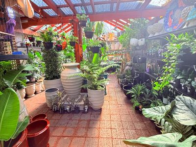 boutique-garden-gift-store-for-sale-4