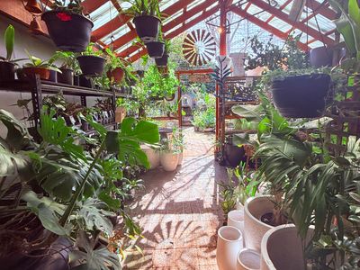boutique-garden-gift-store-for-sale-5