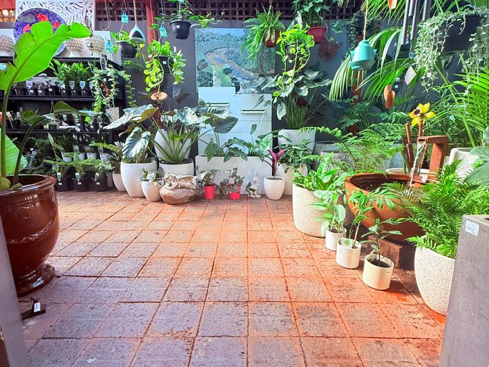 boutique-garden-gift-store-for-sale-3