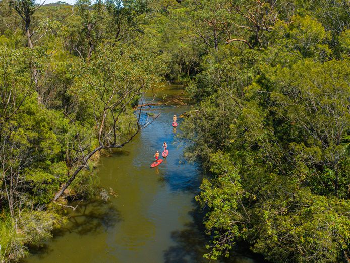established-sup-tour-rental-business-narrabeen-lagoon-sydney-2