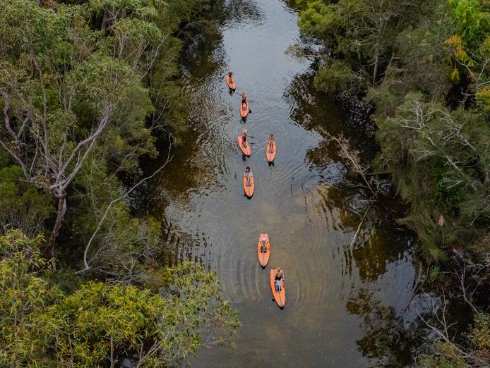 established-sup-tour-rental-business-narrabeen-lagoon-sydney-6