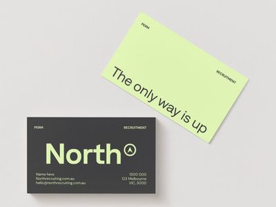 north-recruiting-premium-permanent-recruitment-brand-for-sale-1