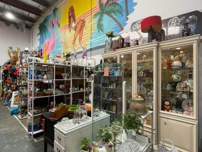 established-vintage-collectables-business-50-000-wiwo-9