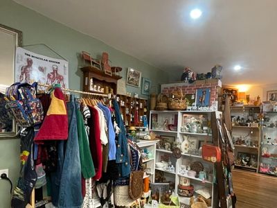established-vintage-collectables-business-50-000-wiwo-8