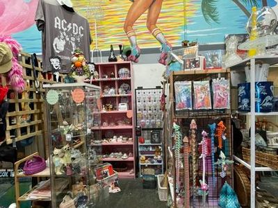 established-vintage-collectables-business-50-000-wiwo-5