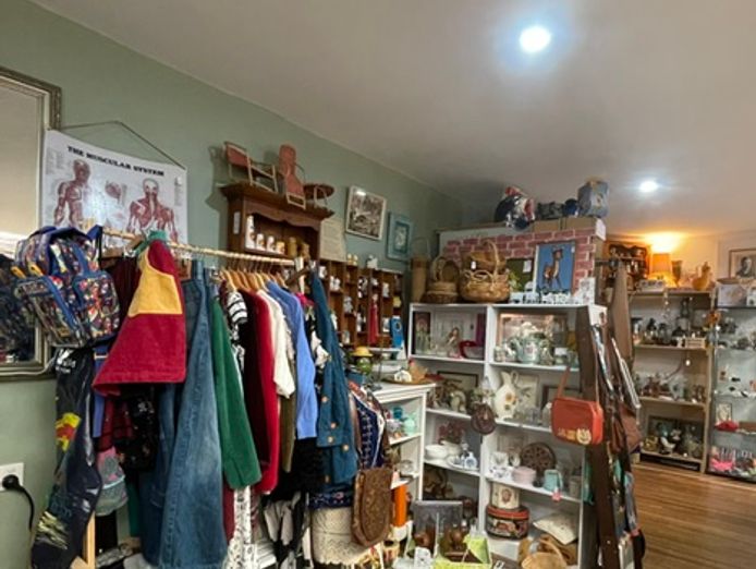 established-vintage-collectables-business-50-000-wiwo-8