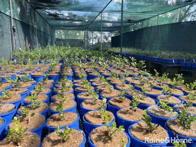 established-regional-lifestyle-business-for-sale-3