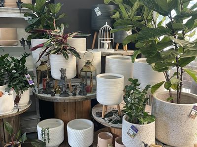 established-regional-lifestyle-business-for-sale-5