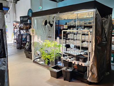 fun-hydroponics-store-for-sale-full-support-and-training-from-my-other-store-1