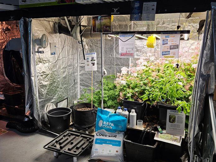fun-hydroponics-store-for-sale-full-support-and-training-from-my-other-store-0