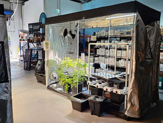 fun-hydroponics-store-for-sale-full-support-and-training-from-my-other-store-1