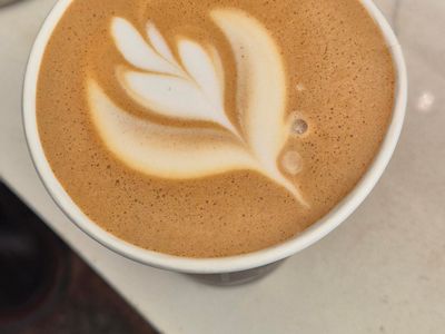 profitable-cafe-business-fantastic-opportunity-7