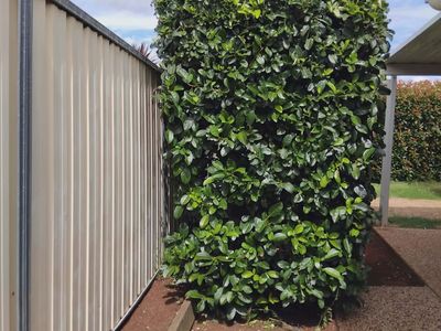 lawn-and-garden-care-business-7