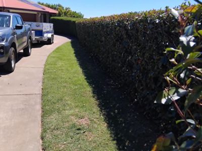 lawn-and-garden-care-business-8