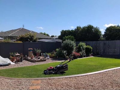 lawn-and-garden-care-business-1