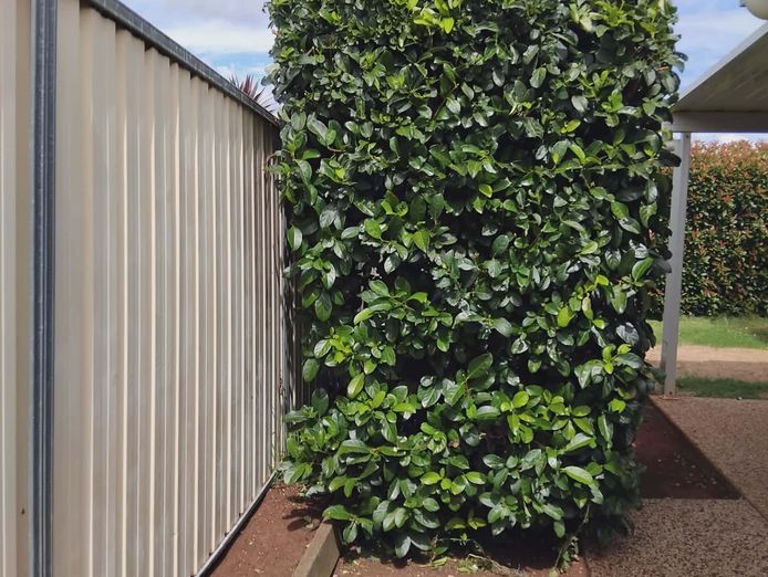 lawn-and-garden-care-business-7