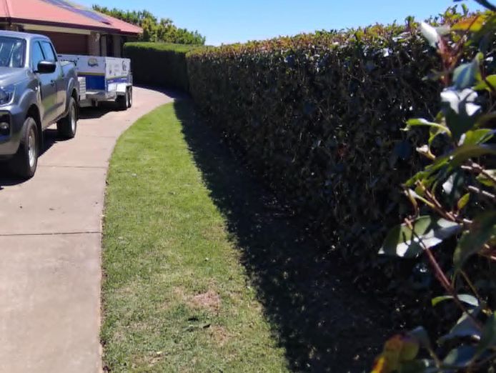 lawn-and-garden-care-business-8