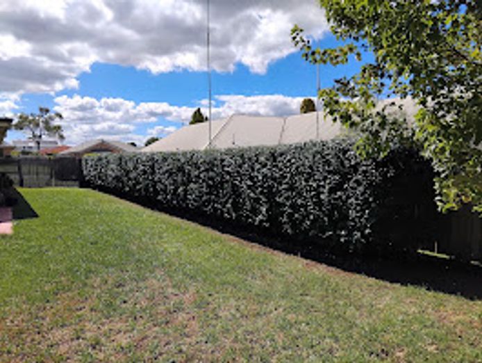 lawn-and-garden-care-business-3