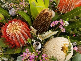 Award Winning Profitable Eco-Friendly Florist -North Brisbane | $400,000 Revenue