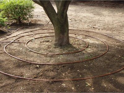established-irrigation-water-management-business-mid-north-coast-nsw-1