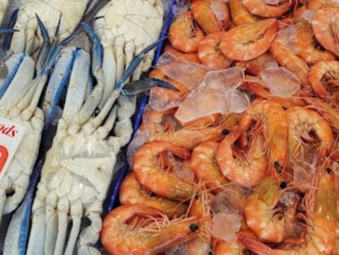 profitable-seafood-retail-business-fish-shop-fully-equipped-secure-lease-1