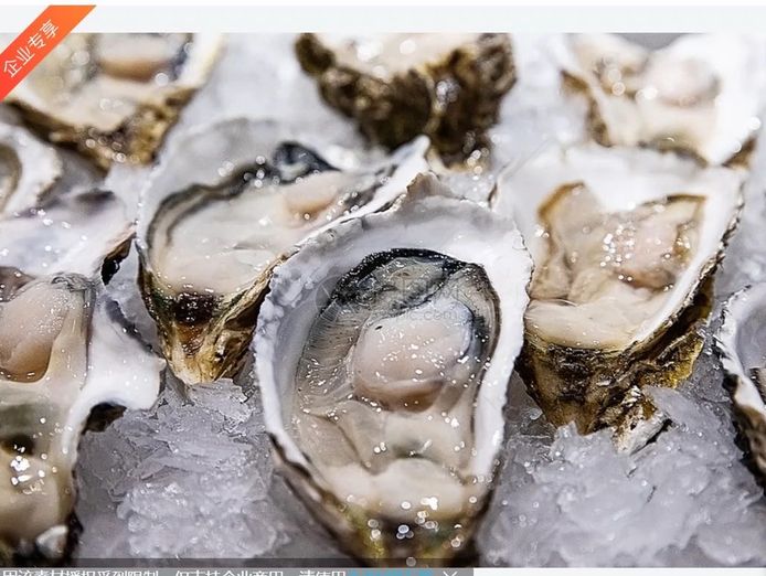 profitable-seafood-retail-business-fish-shop-fully-equipped-secure-lease-0