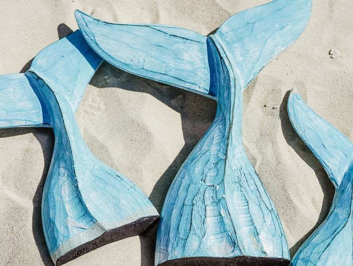 established-prime-surfers-paradise-homewares-souvenir-store-0