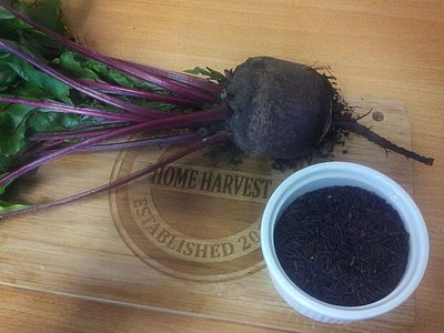 profitable-home-style-meal-delivery-business-for-sale-1
