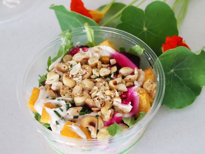 profitable-home-style-meal-delivery-business-for-sale-7