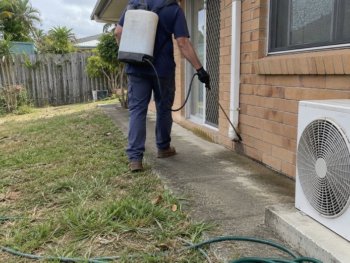 profitable-pest-control-business-mackay-995-000-wiwo-1