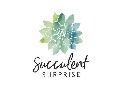 succulent-surprise-brand-online-gifting-platform-florist-model-0