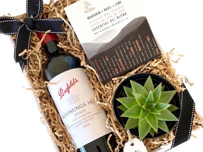 succulent-surprise-brand-online-gifting-platform-florist-model-2