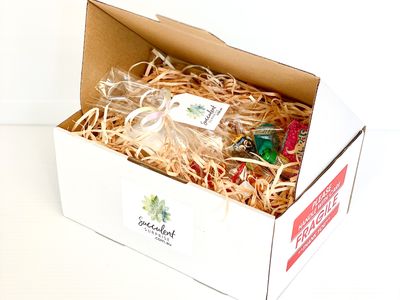 succulent-surprise-brand-online-gifting-platform-florist-model-5