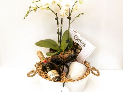 succulent-surprise-brand-online-gifting-platform-florist-model-3