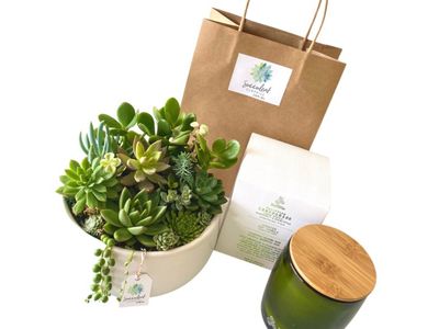 succulent-surprise-brand-online-gifting-platform-florist-model-9