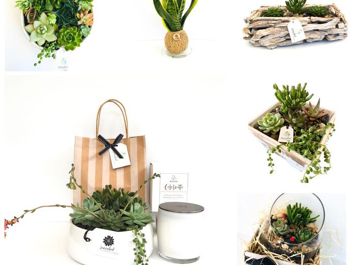 succulent-surprise-brand-online-gifting-platform-florist-model-1