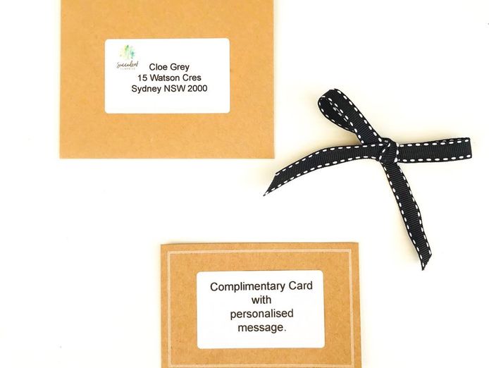 succulent-surprise-brand-online-gifting-platform-florist-model-7