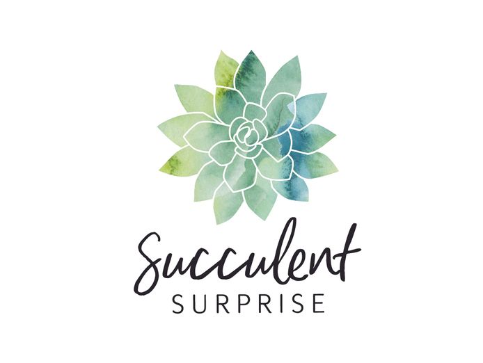 succulent-surprise-brand-online-gifting-platform-florist-model-0