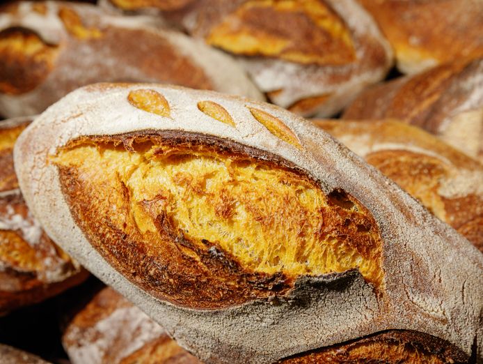 new-highly-profitable-bakery-cafe-0