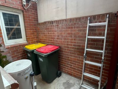 established-dog-grooming-business-for-sale-taree-nsw-8